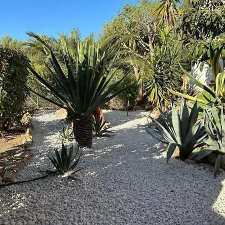 Torre De La Luna * دينايا